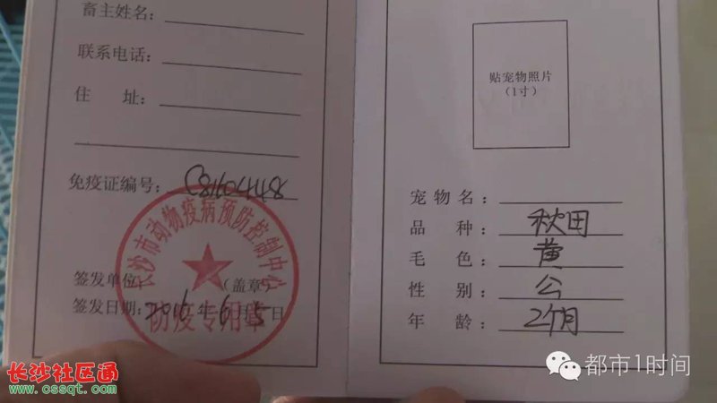宠物食品商标到底归哪类？这可能是你一直想了解的问题。