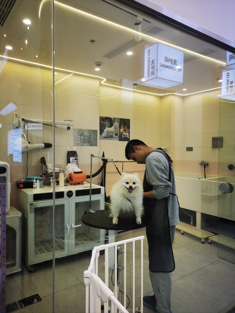 宠物美容店
